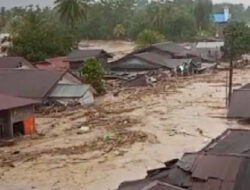 Update Korban Banjir dan Longsor Sumut 2025: 17 Tewas, 7 Kabupaten Terdampak