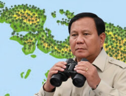 Prabowo Dorong Sawit di Papua untuk Swasembada Energi, Dikritik Pengamat Lingkungan