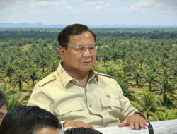 Pemerintah Prabowo Cabut HGU Sawit untuk Hunian Korban Banjir & Kembalikan Lahan ke Hutan