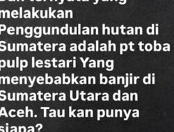 Viral Unggahan Anak Purbaya: Toba Pulp Lestari Diduga Penyebab Banjir Sumut?