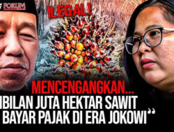 9 Juta Hektare Sawit Ilegal Tak Bayar Pajak: Fakta & Dampak Menurut Walhi