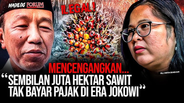 9 Juta Hektare Sawit Ilegal Tak Bayar Pajak: Fakta & Dampak Menurut Walhi