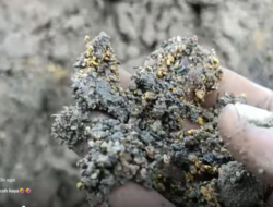 Viral! Warga Aceh Temukan Butiran Emas di Lumpur Banjir Bandang, Begini Faktanya