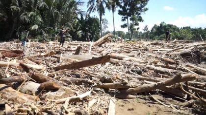Banjir Bandang Pidie Jaya: Tumpukan Kayu Gelondongan dari Perambahan Hutan Serang Permukiman Warga