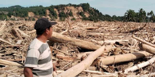 Banjir Bandang Aceh Tamiang 2025: Permukiman Hilang Tertimbun Kayu Gelondongan