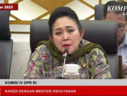 Titiek Soeharto Beberkan Dugaan Jenderal Bintang 2-3 Bekingi Illegal Logging Pemicu Banjir