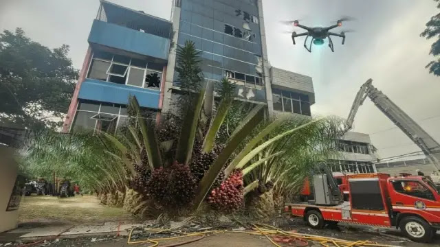 Kebakaran Terra Drone 2025: Kaitan Maut dengan Pemetaan Sawit Ilegal dan Bencana Sumatera