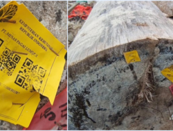 Misteri Kayu Gelondongan Barcode Kementerian Kehutanan di Pantai Tanjung Setia Terungkap