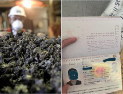 Satgas Gagalkan Penyelundupan Nikel oleh Pekerja China di Bandara IWIP Halmahera