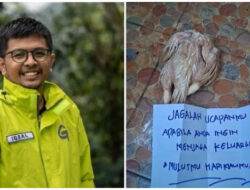 Aktivis Greenpeace Teror Bangkai Ayam: Ancaman Terkait Kritik Banjir Sumatera & Deforestasi