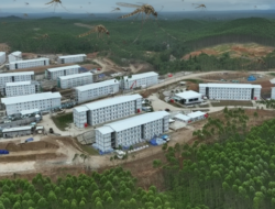 Strategi IKN Bebas Malaria: Bangun Sistem Kesehatan Lingkungan Berkelanjutan