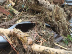 Pembalakan Liar di Sumatera Diduga Picu Banjir Bandang, Desakan Tangkap Korporasi Menguat