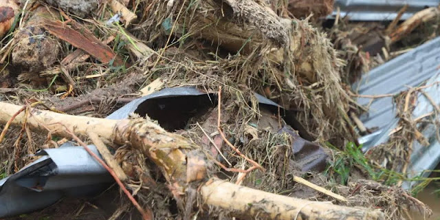 Pembalakan Liar di Sumatera Diduga Picu Banjir Bandang, Desakan Tangkap Korporasi Menguat