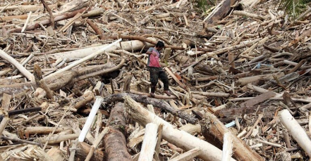 Tanggung Jawab Kerusakan Lingkungan di Sumatera: Analisis Pakar Mahawan Karuniasa