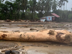 Banjir Sumatera 2025: Penyebab, Dampak, dan Analisis Lengkap Bencana Ekologis