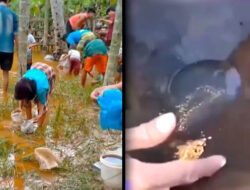 Heboh! Warga Aceh Temukan Emas dan Solar dari Tanah Pasca Banjir, Ini Lokasinya