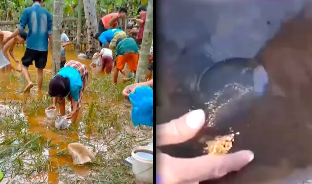 Heboh! Warga Aceh Temukan Emas dan Solar dari Tanah Pasca Banjir, Ini Lokasinya