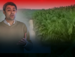 Korupsi Tambang & Sawit Rugikan Negara Rp186,48 Triliun, Pemerintah Gunakan AI