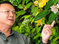 Ahok Kritik Keras Wacana Pilkada oleh DPRD: Sistem untuk Curang dan Rampas Hak Rakyat