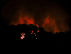 Minyak Jelantah Pertamina: Strategi Indonesia Tekan Impor Solar & Raih Ketahanan Energi