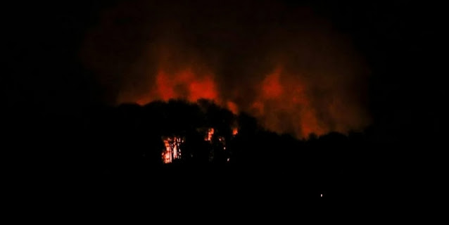 Minyak Jelantah Pertamina: Strategi Indonesia Tekan Impor Solar & Raih Ketahanan Energi