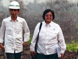 Dugaan Korupsi Sawit Rp 450 Triliun Seret Siti Nurbaya, Ini Fakta Lengkapnya