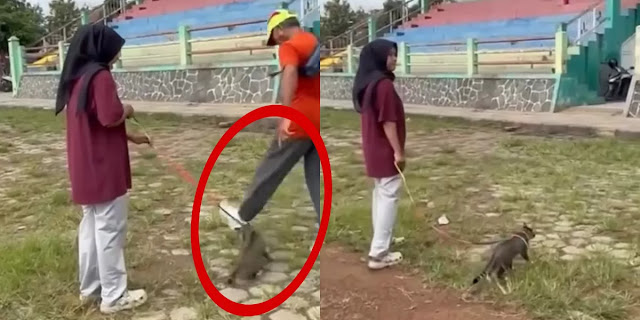 Viral Pria Tendang Kucing Sampai Mati di Blora, Identitas Pelaku Terungkap!