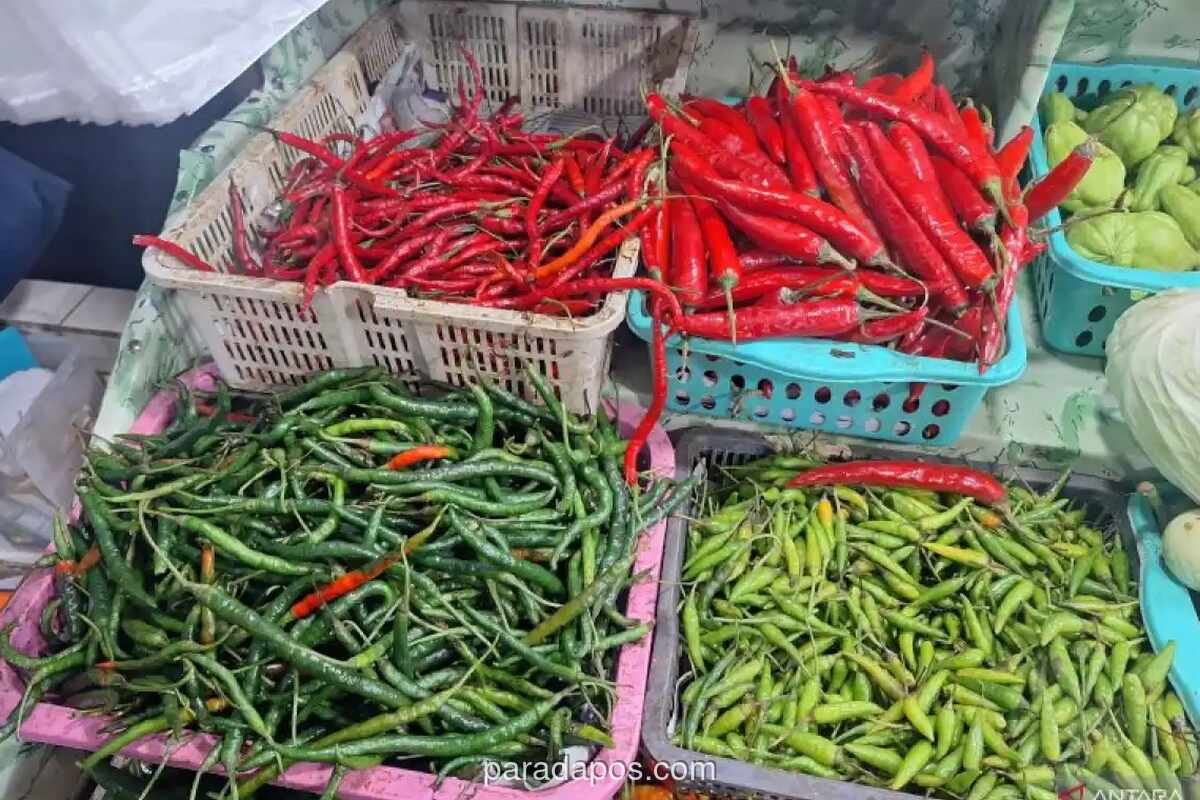 Harga Cabai Rawit Merah Tembus Rp140 Ribu per Kg di Pasar Jaksel Awal Ramadhan