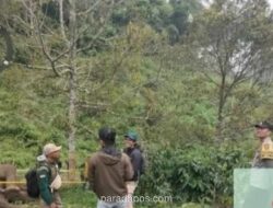 Warga Bener Meriah Tewas Diduga Diinjak Gajah Sumatera Liar di Kebun Jagung