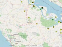 BMKG Catat 251 Titik Panas di Riau, Karhutla Hanguskan 183 Hektare