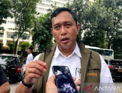 Bulog Targetkan Ekspor 1 Juta Ton Beras ke Asia Tenggara pada 2026