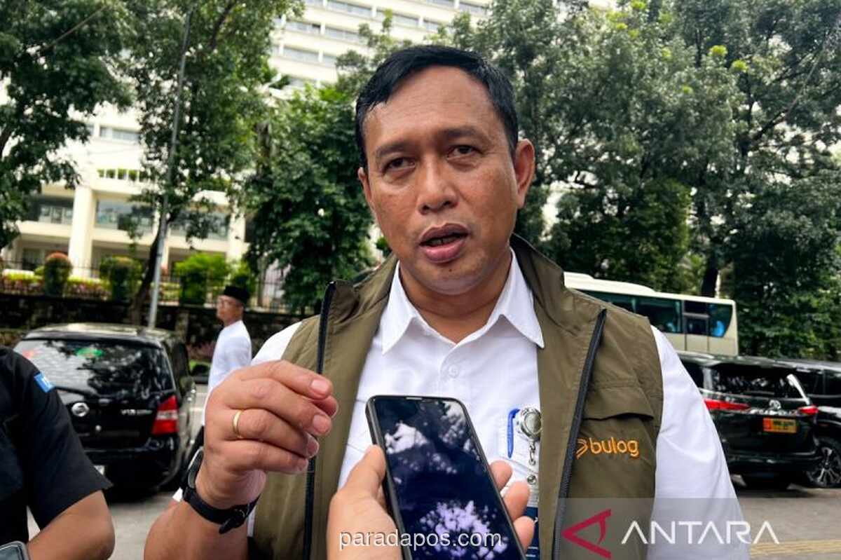 Bulog Targetkan Ekspor 1 Juta Ton Beras ke Asia Tenggara pada 2026