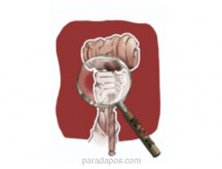 KPK Tangkap Ketua dan Wakil Ketua PN Depok dalam OTT Kasus Suap Lahan