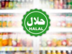 Ekosistem Halal Jadi Kunci Daya Saing Global, Malaysia dan Thailand Jadi Contoh