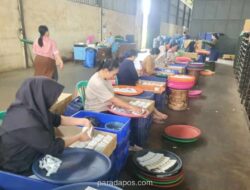 Formasi Desak Relaksasi Regulasi dan Pemberantasan Rokok Ilegal untuk Dongkrak Penerimaan Cukai