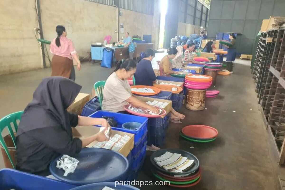 Formasi Desak Relaksasi Regulasi dan Pemberantasan Rokok Ilegal untuk Dongkrak Penerimaan Cukai