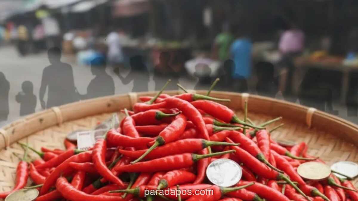 Harga Cabai Rawit Melonjak hingga Rp200 Ribu per Kg, Picu Inflasi di 230 Daerah