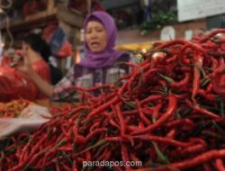 Harga Cabai Rawit Merah Tembus Rp79.550 per Kg, BI Pantau Gejolak Pangan
