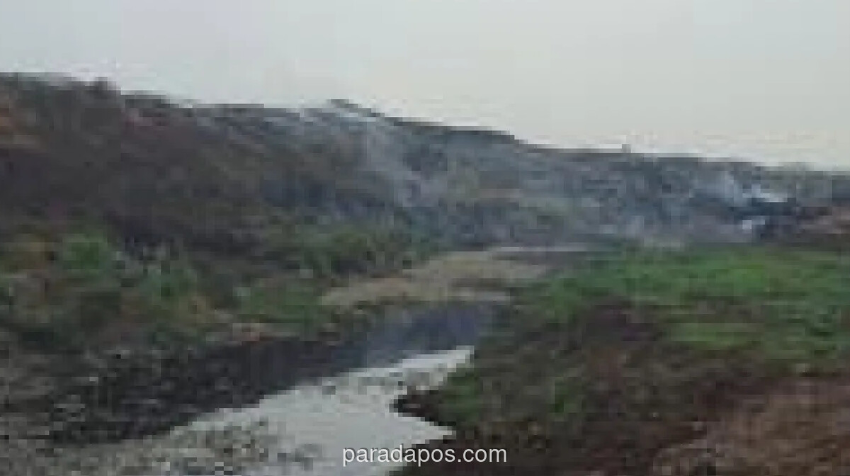 Bupati Tangerang Tanam Bambu dan Siram Eco-Enzyme di TPA Jatiwaringin untuk Tekan Polusi