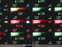 Utusan Khusus Presiden Peringatkan Anomali Valuasi Saham, 76 Emiten Catat PE Ratusan hingga Ribuan Kali