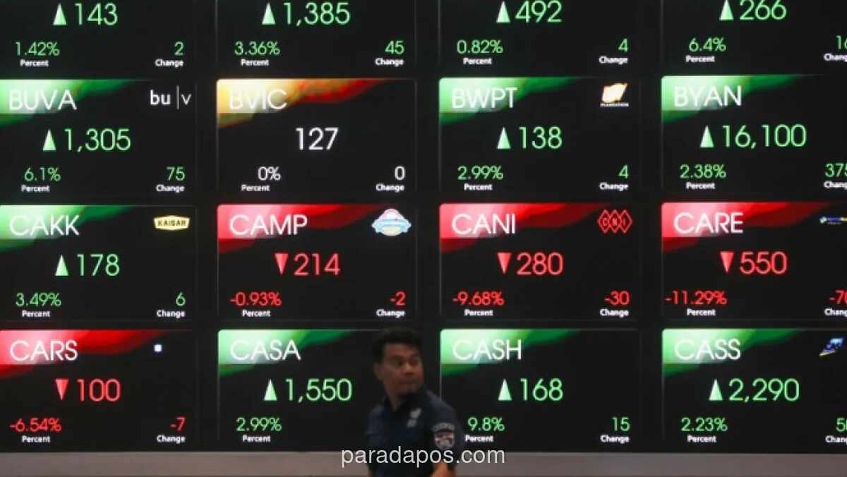 Utusan Khusus Presiden Peringatkan Anomali Valuasi Saham, 76 Emiten Catat PE Ratusan hingga Ribuan Kali
