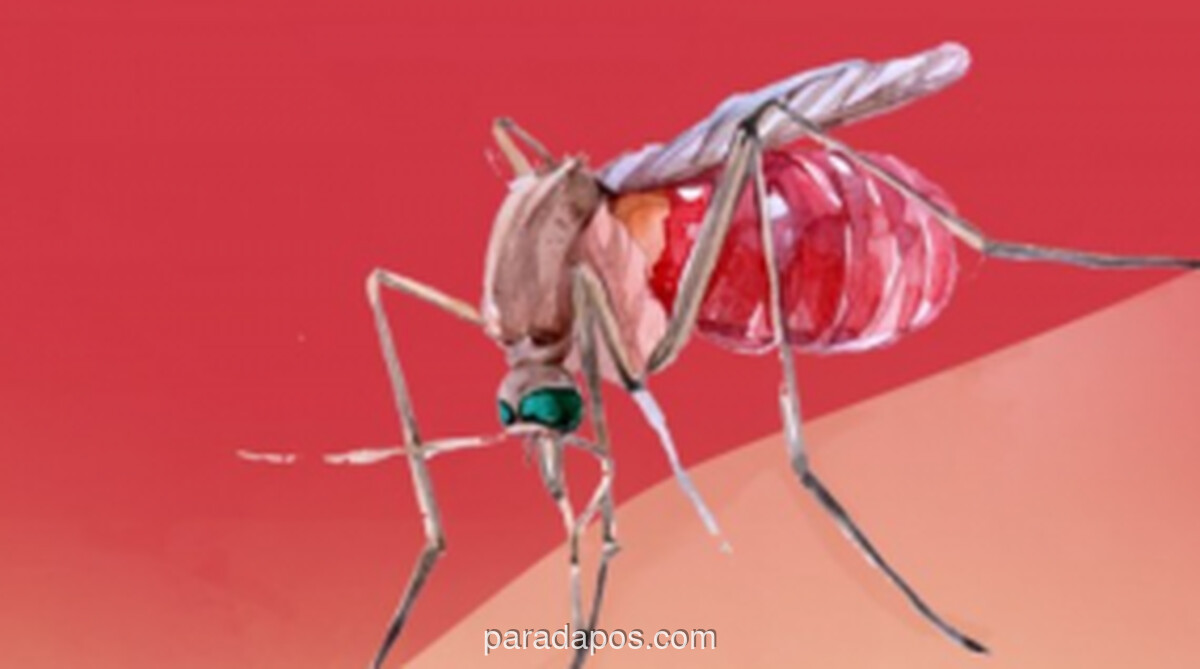 Kemenkes Optimistis Target Nol Kematian DBD 2030 Tercapai, Angka Fatalitas Sentuh Rekor 0,4%