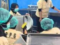 BGN Bantah Isu Pembukaan PPPK Tahap 3, Imbau Masyarakat Waspada Penipuan