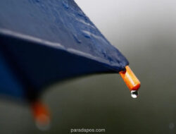 BMKG Imbau Warga Jakarta Waspada Potensi Hujan Petir Malam hingga Dini Hari