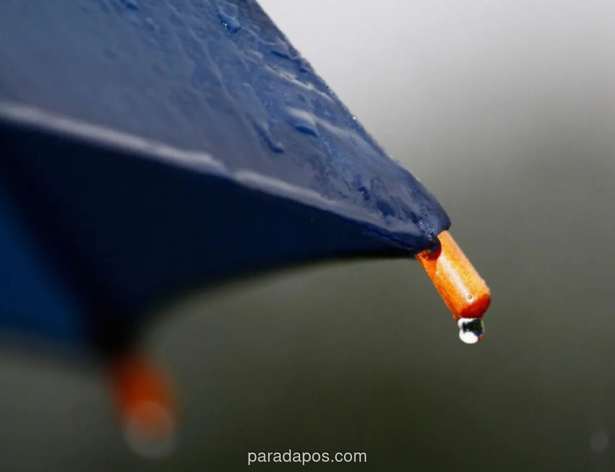 BMKG Imbau Warga Jakarta Waspada Potensi Hujan Petir Malam hingga Dini Hari