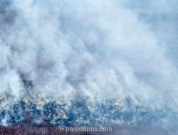 Karhutla Masih Melanda Lima Wilayah di Riau, BPBD Dorong Status Darurat