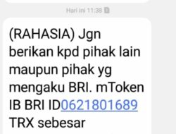 Nasabah BRI Rugi Rp20 Juta Akibat Modus Penipuan Hadiah dan OTP