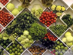 Ahli Gizi Ingatkan Risiko Sembelit hingga Gangguan Metabolik Akibat Kurang Serat Saat Puasa