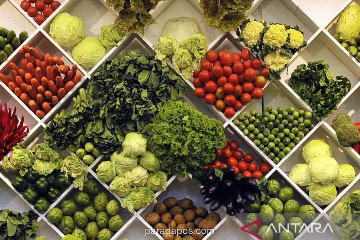 Ahli Gizi Ingatkan Risiko Sembelit hingga Gangguan Metabolik Akibat Kurang Serat Saat Puasa