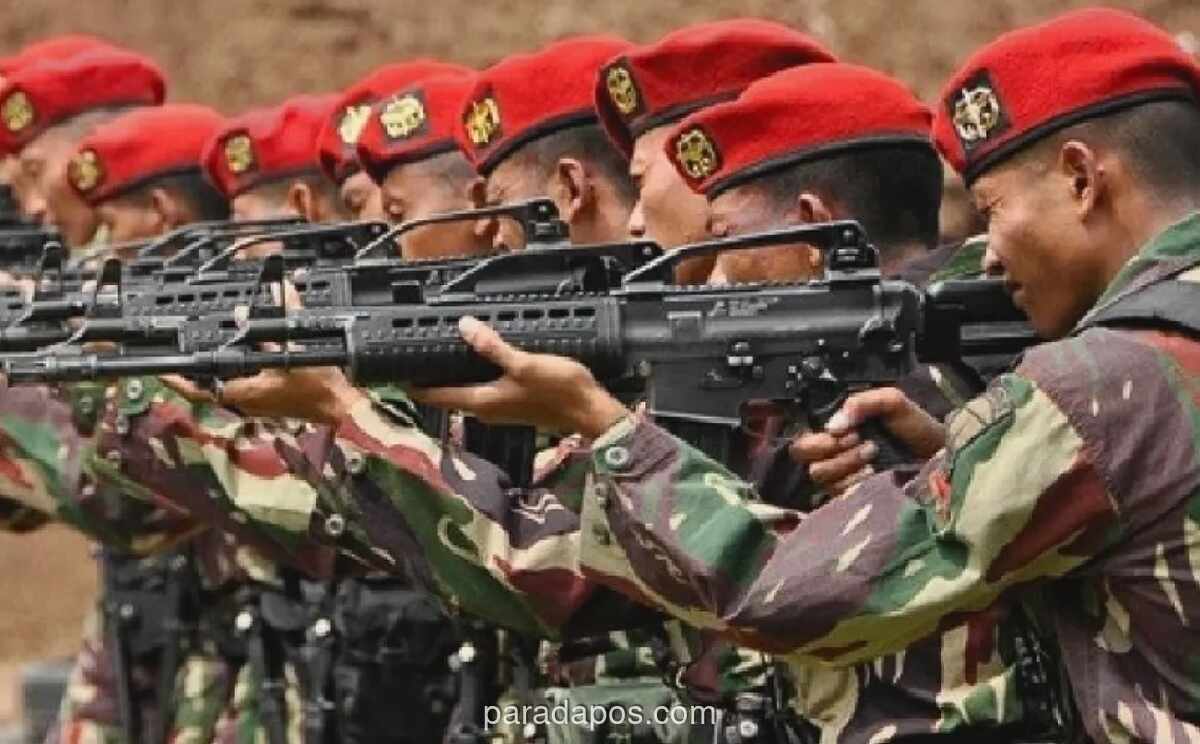 Operasi Raid RPKAD-KKO Rebut Gunung Potong dari Permesta pada 1958